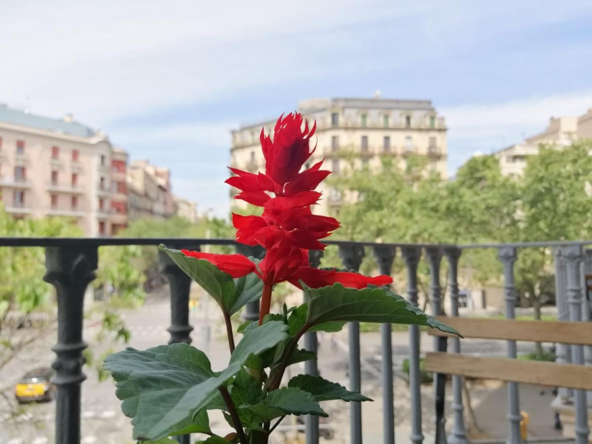 Casa Consell Gran Via, Guest house Barcelona